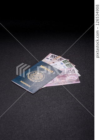 International biometric passport of a citizen of Mexico International biometric passport of a citizen of Mexico 126534908