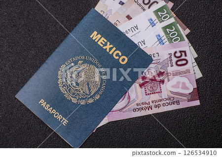 International biometric passport of a citizen of Mexico International biometric passport of a citizen of Mexico 126534910