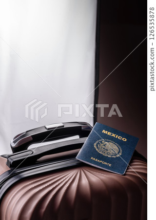 International passport of a citizen of Mexico on a suitcase 126535878