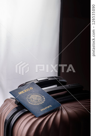 International passport of a citizen of Mexico on a suitcase 126535890