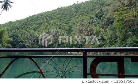 A tranquil boat journey through lush jungle river offers a peaceful nature experience  126537503