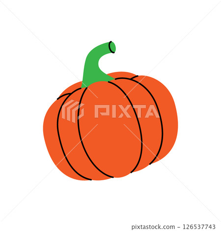 Raw pumpkin. Fresh organic vegetable. Vector illustration Raw pumpkin. Fresh organic vegetable. Vector illustration 126537743