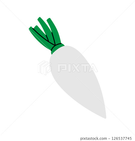 Radish. Fresh organic vegetable. Vector illustration Radish. Fresh organic vegetable. Vector illustration 126537745