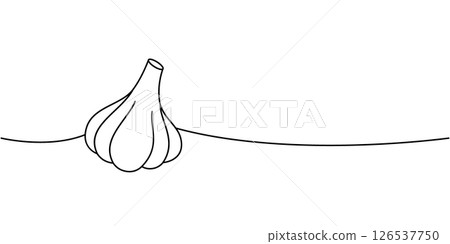 Garlic bulb one line continuous drawing. Fresh organic vegetable. Vector illustration 126537750