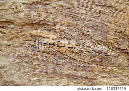 Weathered Wood Texture Aged Timber Surface Cracks Weathered Wood Texture Aged Timber Surface Cracks 126537839