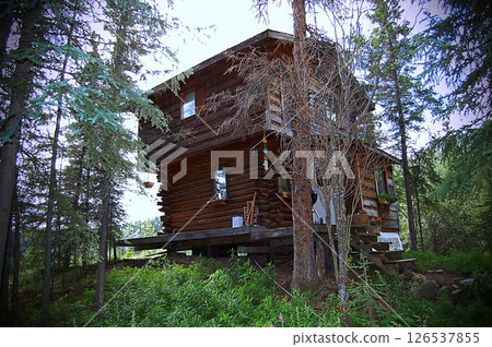 Rustic wooden cabin in the middle of a dense forest. 126537855