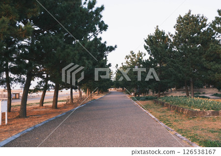 [Sennan Satoumi Park] Scenery at dusk 126538167