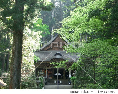 A temple surrounded by trees A temple surrounded by trees 126538860