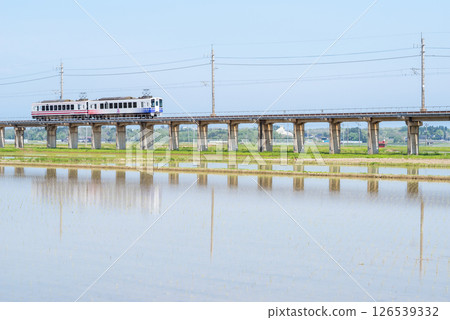 [Hokuhoku Line] A local train passing through an elevated section with rice fields 126539332