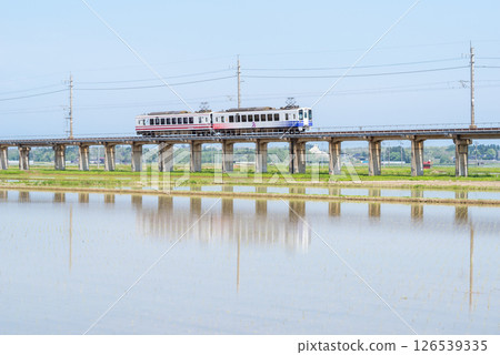 [Hokuhoku Line] A local train passing through an elevated section with rice fields 126539335
