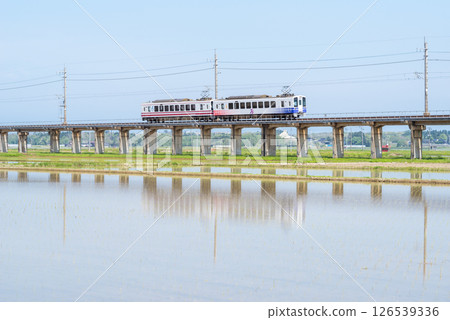 [Hokuhoku Line] A local train passing through an elevated section with rice fields 126539336
