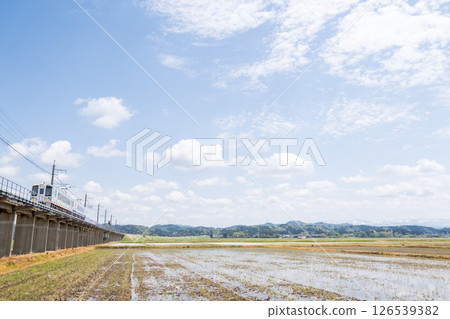 [Hokuhoku Line] A local train passing through an elevated section with rice fields 126539382
