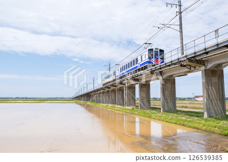 [Hokuhoku Line] A local train passing through an elevated section with rice fields 126539385