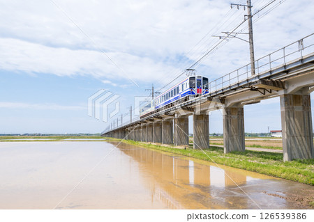 [Hokuhoku Line] A local train passing through an elevated section with rice fields 126539386