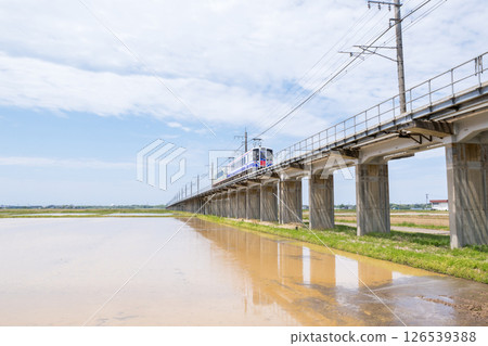 [Hokuhoku Line] A local train passing through an elevated section with rice fields 126539388