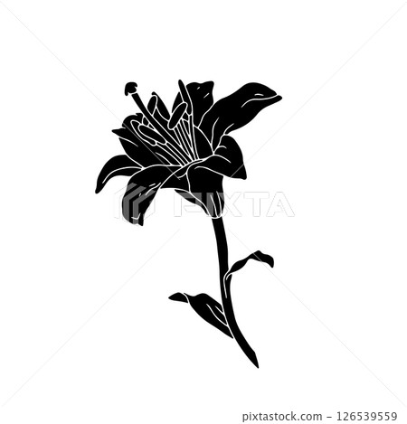 Hand drawn black silhouette of lily bloom with stem and leaf linocut. Monochrome birth month May flower. 126539559