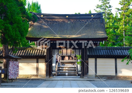 Taga Taisha Shrine (Shiga Prefecture) Taga Taisha Shrine (Shiga Prefecture) 126539689