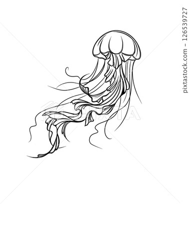 Sketch of jellyfish isolated on background. Hand drawn illustration. Detailed sketch of ellifish template for print. Sketch of jellyfish isolated on background. Hand drawn illustration. Detailed sketch of ellifish template for print. 126539727