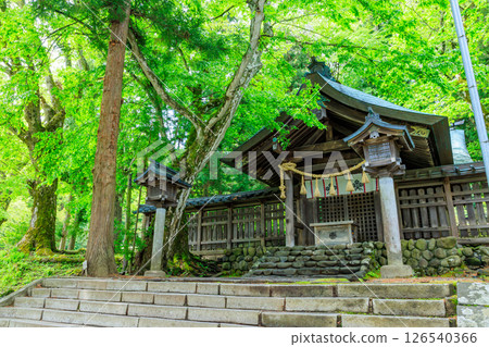 長野縣茅野市詰訪大社上社前宮的初夏 長野縣茅野市詰訪大社上社前宮的初夏 126540366