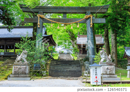 Early summer at Suwa Taisha Kamisha Maemiya, Chino City, Nagano Prefecture 126540371