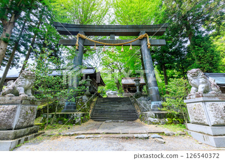 長野縣茅野市詰訪大社上社前宮的初夏 長野縣茅野市詰訪大社上社前宮的初夏 126540372