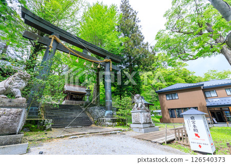 Early summer at Suwa Taisha Kamisha Maemiya, Chino City, Nagano Prefecture 126540373