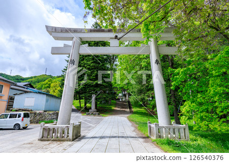 Early summer at Suwa Taisha Kamisha Maemiya, Chino City, Nagano Prefecture 126540376