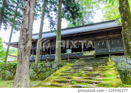 長野縣茅野市詰訪大社上社前宮的初夏 126540377