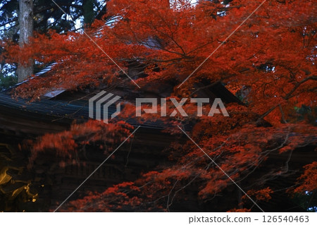世界遺產，岩手縣平泉町，紅葉中尊寺 126540463