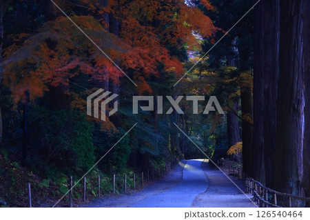 世界遺產，岩手縣平泉町，紅葉中尊寺 126540464