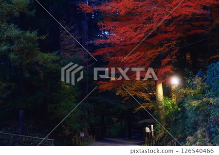 世界遺產,岩手縣平泉町,紅葉中尊寺 世界遺產,岩手縣平泉町,紅葉中尊寺 126540466
