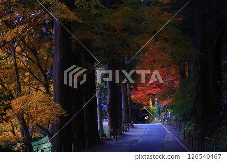 World heritage site, Hiraizumi Town, Iwate Prefecture, Chusonji Temple with colored leaves 126540467