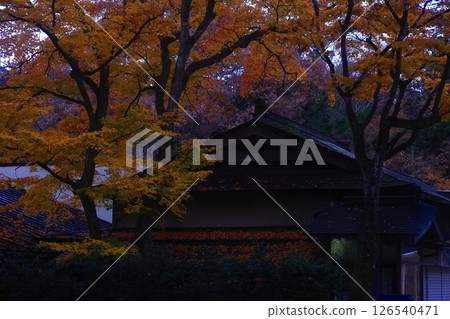 世界遺產,岩手縣平泉町,紅葉中尊寺 世界遺產,岩手縣平泉町,紅葉中尊寺 126540471
