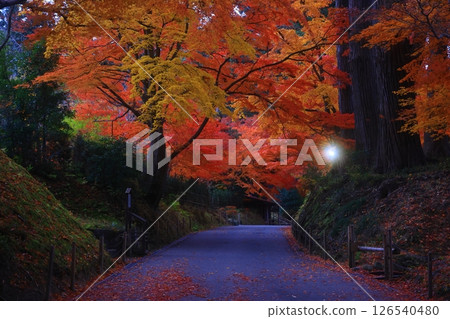 World heritage site, Hiraizumi Town, Iwate Prefecture, Chusonji Temple with colored leaves World heritage site, Hiraizumi Town, Iwate Prefecture, Chusonji Temple with colored leaves 126540480