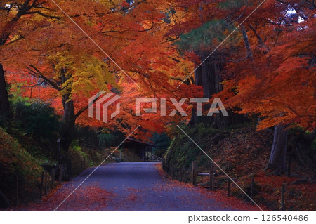 世界遺產，岩手縣平泉町，紅葉中尊寺 126540486