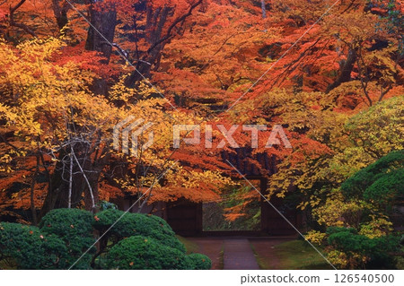 世界遺產，岩手縣平泉町，紅葉中尊寺 126540500