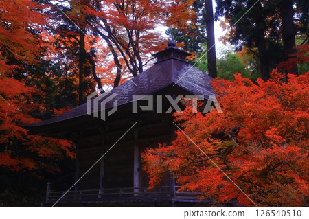 世界遺產，岩手縣平泉町，紅葉中尊寺 126540510