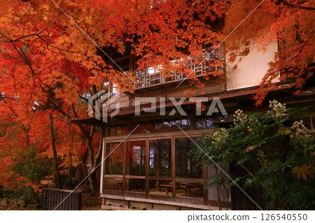 Iwate Prefecture Autumn foliage scenery 126540550