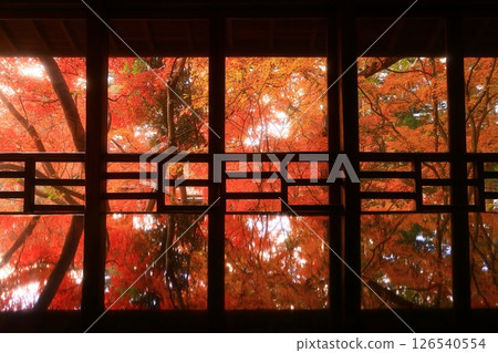 Iwate Prefecture Autumn foliage scenery Iwate Prefecture Autumn foliage scenery 126540554