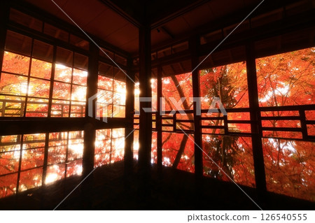 Iwate Prefecture Autumn foliage scenery Iwate Prefecture Autumn foliage scenery 126540555