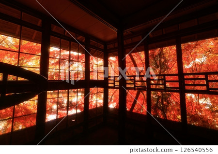 岩手縣秋葉風景 岩手縣秋葉風景 126540556