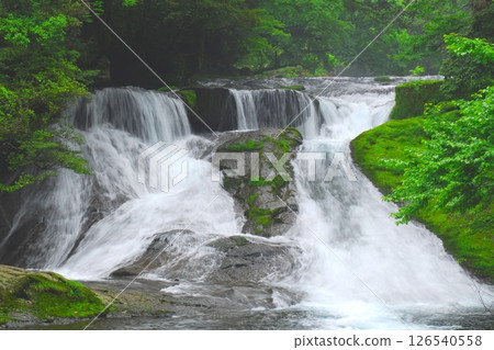 Fresh green 430,000 Waterfalls (Kikuchi Valley/Kikuchi City) Fresh green 430,000 Waterfalls (Kikuchi Valley/Kikuchi City) 126540558