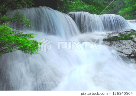 Fresh green 430,000 Waterfalls (Kikuchi Valley/Kikuchi City) Fresh green 430,000 Waterfalls (Kikuchi Valley/Kikuchi City) 126540564
