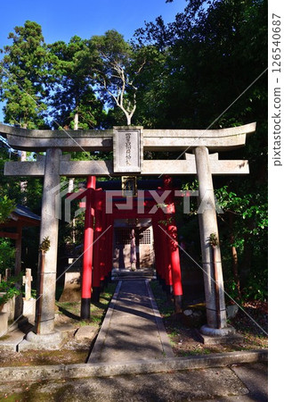 大瀧神社(滋賀縣) 大瀧神社(滋賀縣) 126540687