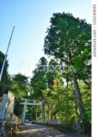 大瀧神社（滋賀縣） 126540689