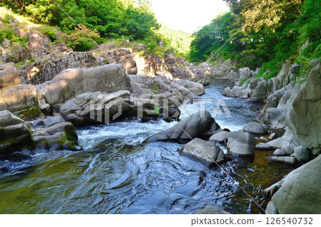 Oojagafuchi (Shiga Prefecture) 126540732
