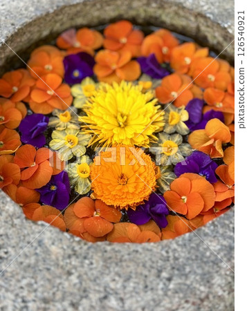 Flower design Flower design 126540921