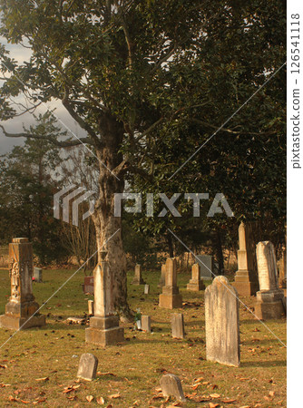 Historic Headstones at Larissa Cemetery Located near Bullard. TX Historic Headstones at Larissa Cemetery Located near Bullard. TX 126541118