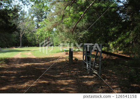 Historic Cemetery in Rural Texas. Community Cemetery Troup TX 126541158