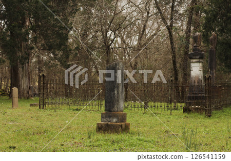 Historic Cemetery in Rural East Texas 126541159